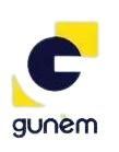 A logo of gunem