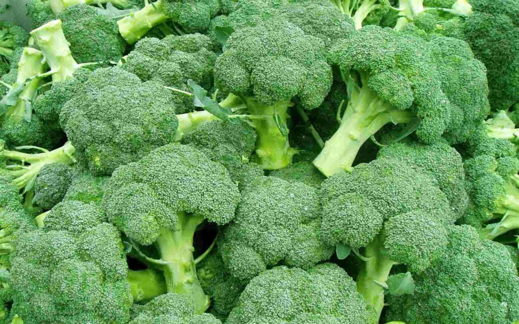 a bulk of broccoli