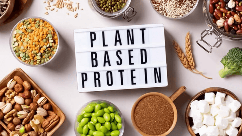 plant based protein ingredients