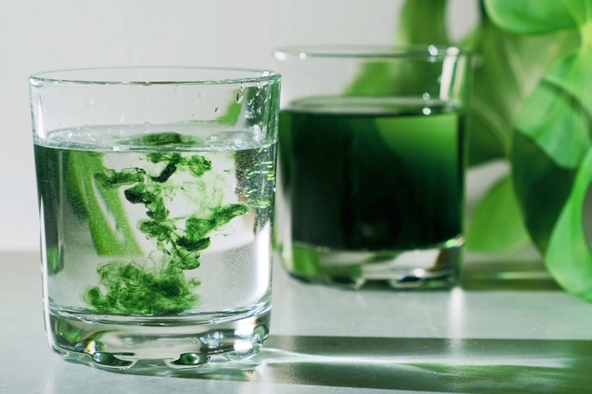 665748f1230b516c45b1f1a8 know your h2o chlorophyll water