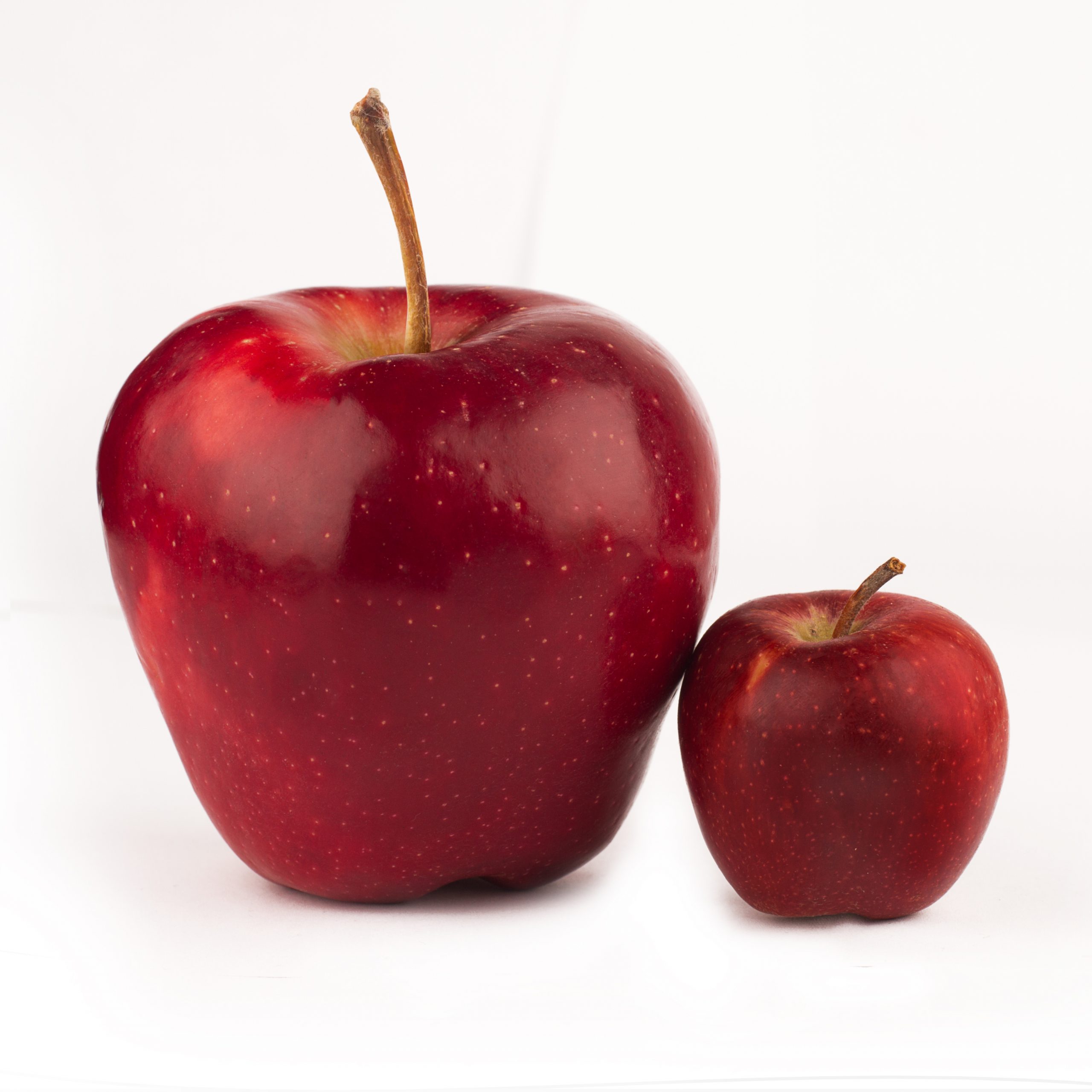 modifiedfruit credit macondo shutterstock scaled 2