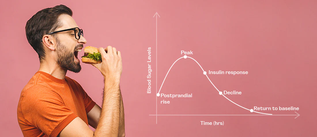 How Do Blood Sugar Levels Fluctuate Over Time After Meal