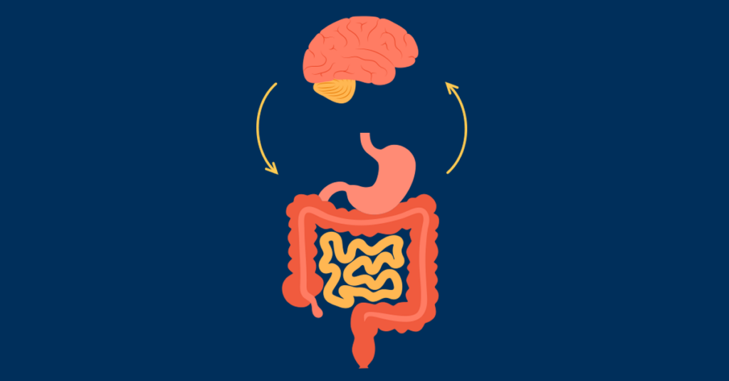 How Certain Ferments Might Be Communicating with Your Nervous System? 1 fmablog GutBrainConnection 1