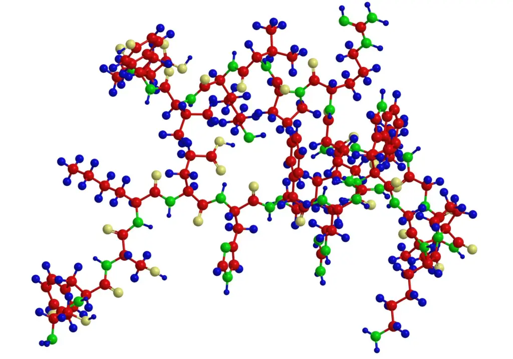 Your Meal Plan Is Cute, But Where’s the Damn Protein? 1 structure peptide amino acids sequence